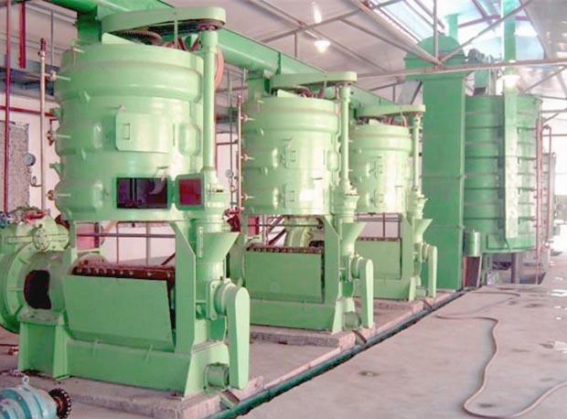 花生榨油机价格