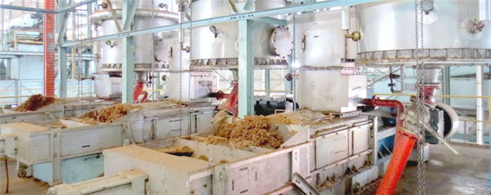 米糠榨油机价格