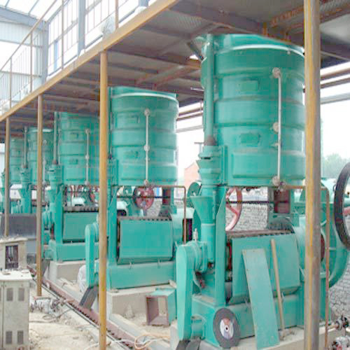 螺旋榨油机热榨茶油